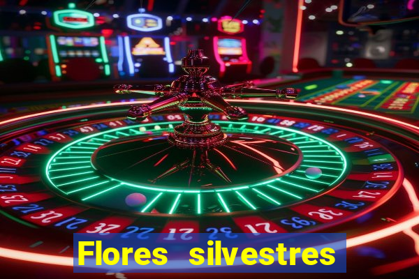 Flores silvestres brasileiras brasileiras flores silvestres nomes e imagens